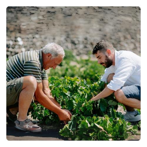 Vinícola Canava Chrissu